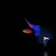 Performer: Jennifer Monson<br/>Still from video by: Weis